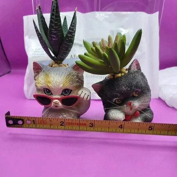 Bradford Exchange Humbugs & Spike Cat Planters Succulents - Picture 5 of 7